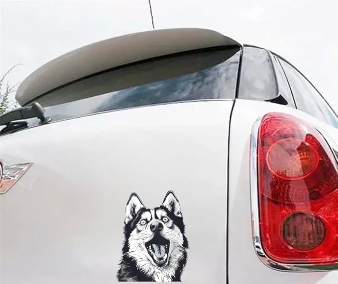 Roll over image to zoom in Funny Siberian Husky Dog Car Decal - Hilarious Surprised Dog and Cat Auto Decor Waterproof Weatherproof - Realistic Decor for Window Bumper Side Mirror (2.15x30)