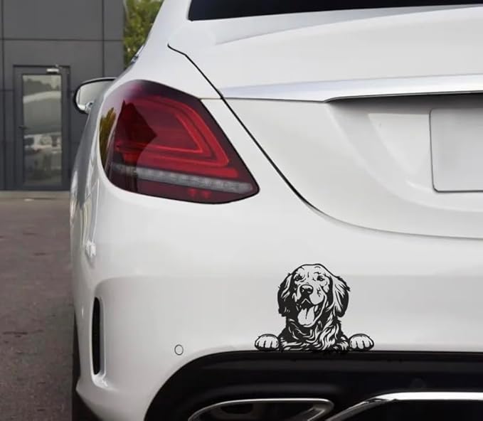 Gold Retriever Car Decal, Peeking Dog Car Vinyl Sticker for Window Vehicle Cling Bumper, Cute Retriever Peekaboo Car Sticker Anime (Retriever) (1.75x30)