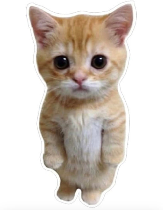 Standing 3D Cat Decal Stickers for Car Window Bumper Mirror, Peeking Cat Decals Peel and Stick, Realistic Paw Print Cat Car Sticker Accessories (1.75x30)