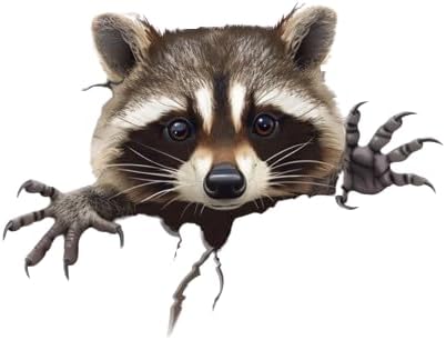 Peeking Raccoon Decal Sticker, Funny Adorable Pickaboo Raccoon Face Sticker for Bumper Window Mirror as Vinyl Waterproof Removable Weatherproof Outdoor Decals (2.15x30)