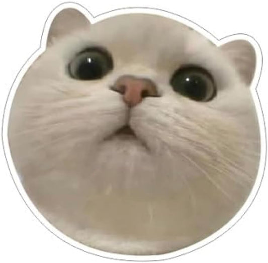 Magnifying White Cat Face Decals with 3D Anime Like, Vinyl Cat Car Decal Stickers for Car Bumper Window Rear Mirror, Peel and Stick, Funny Magnifying Bumper Sticker (1.75x30)