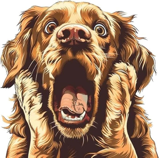 Funny Gold Retriever 3D Car Decal - Surprised Dog Decal for Window Bumper Rear - Funny Warning Sticker for Auto - Realistic Dog Car Art (2.15x30)