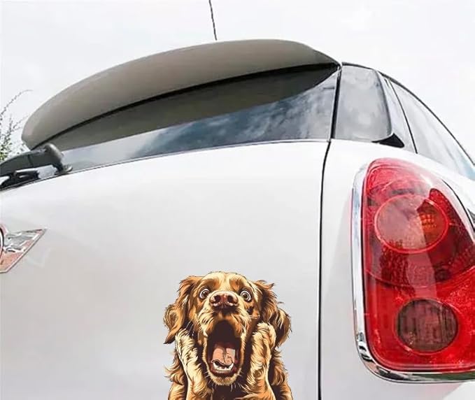 Funny Gold Retriever 3D Car Decal - Surprised Dog Decal for Window Bumper Rear - Funny Warning Sticker for Auto - Realistic Dog Car Art (2.15x30)