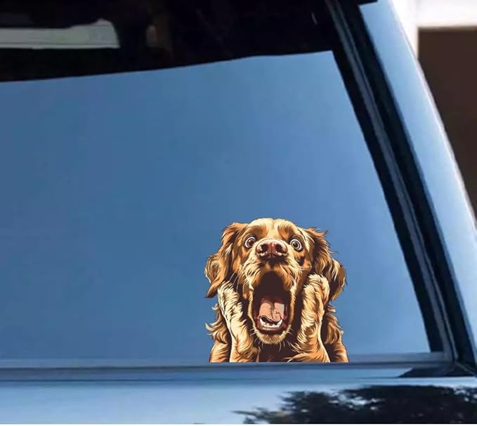 Funny Gold Retriever 3D Car Decal - Surprised Dog Decal for Window Bumper Rear - Funny Warning Sticker for Auto - Realistic Dog Car Art (2.15x30)