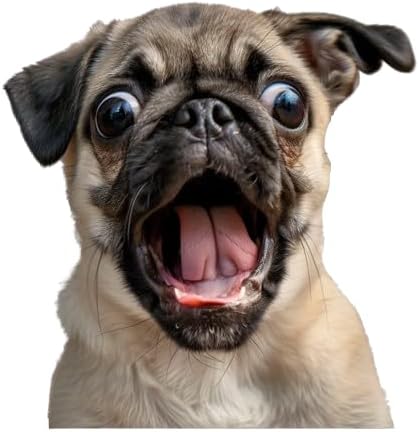 Funny 3D Pug Dog Car Decal Sticker - Hilarious Dog Auto Accessories Peel and Stick - Perfect Warning Decal for Window Bumper Side Mirror (2.15x30)